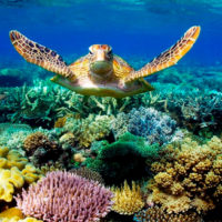Kid Friendly Tours & Activities