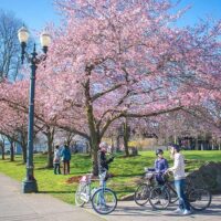Bike & Mountain Bike Tours