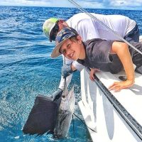 Dolphin & Whale Watching