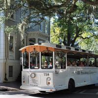 Luxury Tours
