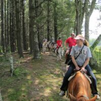 Horseback Riding