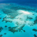 Top Cairns & the Tropical North activities