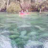 Kayaking & Canoeing