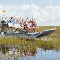 Day Trips & Excursions