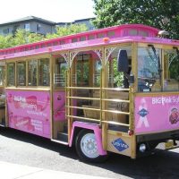 Trolley Tours