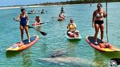 Fun experience, great for first time paddleboarxers