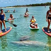 Stand Up Paddleboarding