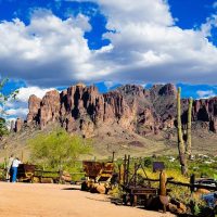 Bus & Minivan Tours