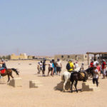 Top Hurghada activities