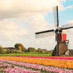 Beyond Amsterdam