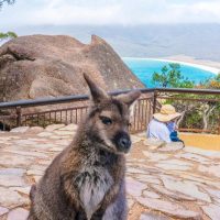 Full-day Tours