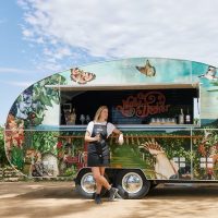 Bus & Minivan Tours