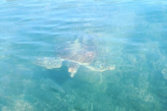 Easter in Palm Cove