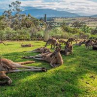 Ports of Call Tours