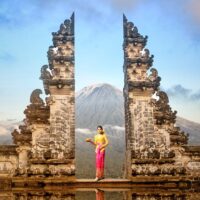 Bus & Minivan Tours