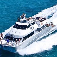 Catamaran Cruises