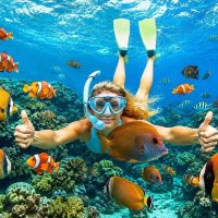 Full-day Tours