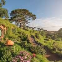 Day Trips & Excursions