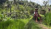 Lovely day exploring Ubud