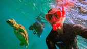 Great way to see the Whitsundays