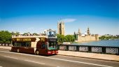 Big Bus big sights.