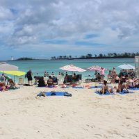 Bus & Minivan Tours