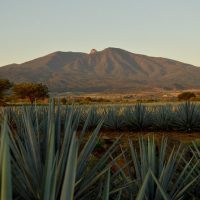 Street Food Tours