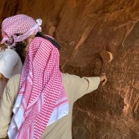 Half-day Tours