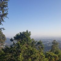 Bus & Minivan Tours