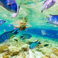 Luxury Tours
