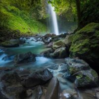 Eco Tours