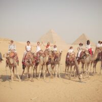 Bus & Minivan Tours