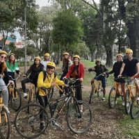Street Food Tours