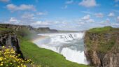 Definitely Recommend