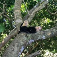 Full-day Tours