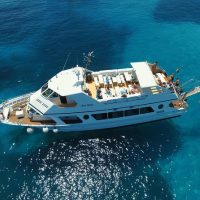 Boat Tours