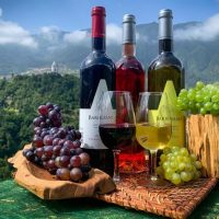 Food, Wine & Nightlife
