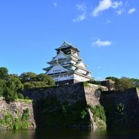Bus & Minivan Tours