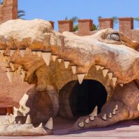 Tours & Sightseeing