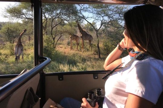 New Year’s Day long weekend in Mpumalanga
