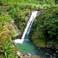 Bus & Minivan Tours