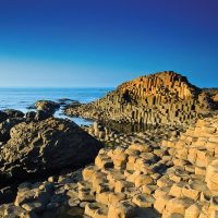 Bus & Minivan Tours