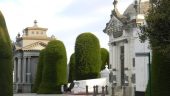 Great experience in Punta Arenas
