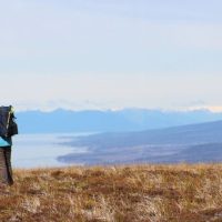 Half-day Tours