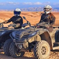 Ports of Call Tours
