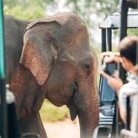 Tours & Sightseeing