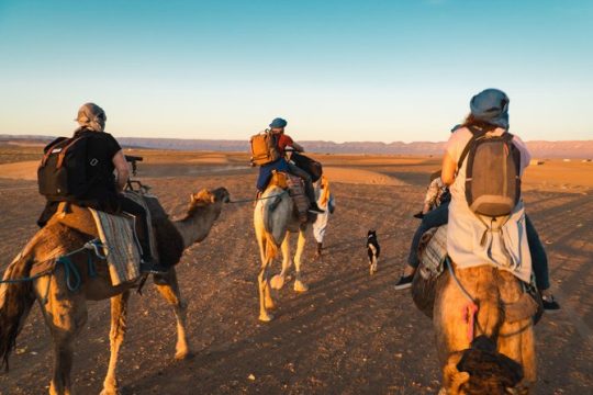 New Year’s Day long weekend in Central Morocco