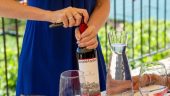 A vineyard to remember 