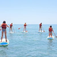 Holiday & Seasonal Tours