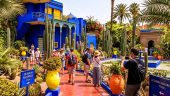Fantastic tour of Marrakech 